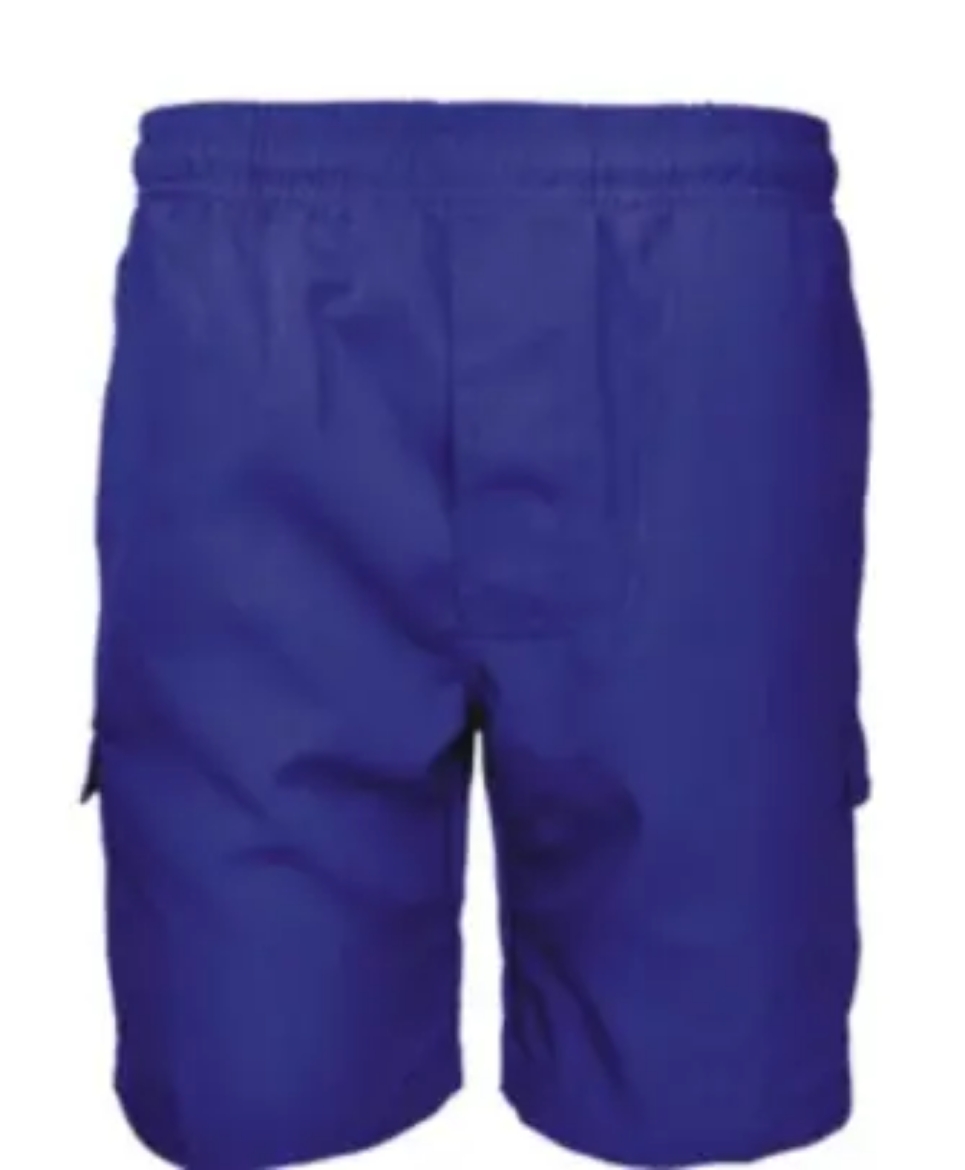 Picture of Bocini, Boys School Cargo Shorts